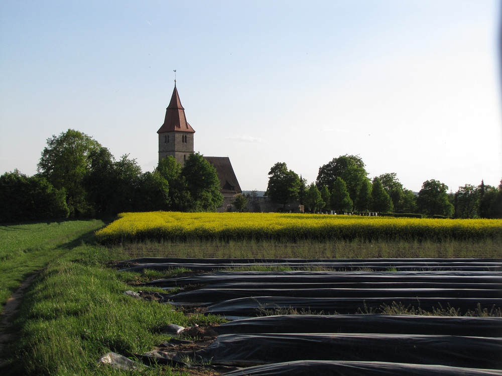 Und heraus aus dem Schatten