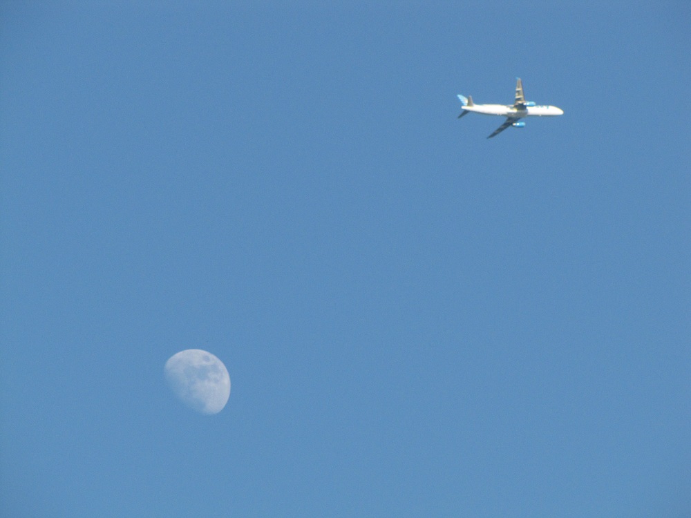 Der Flughafen ist nicht weit. So sieht man die Flieger auch näher